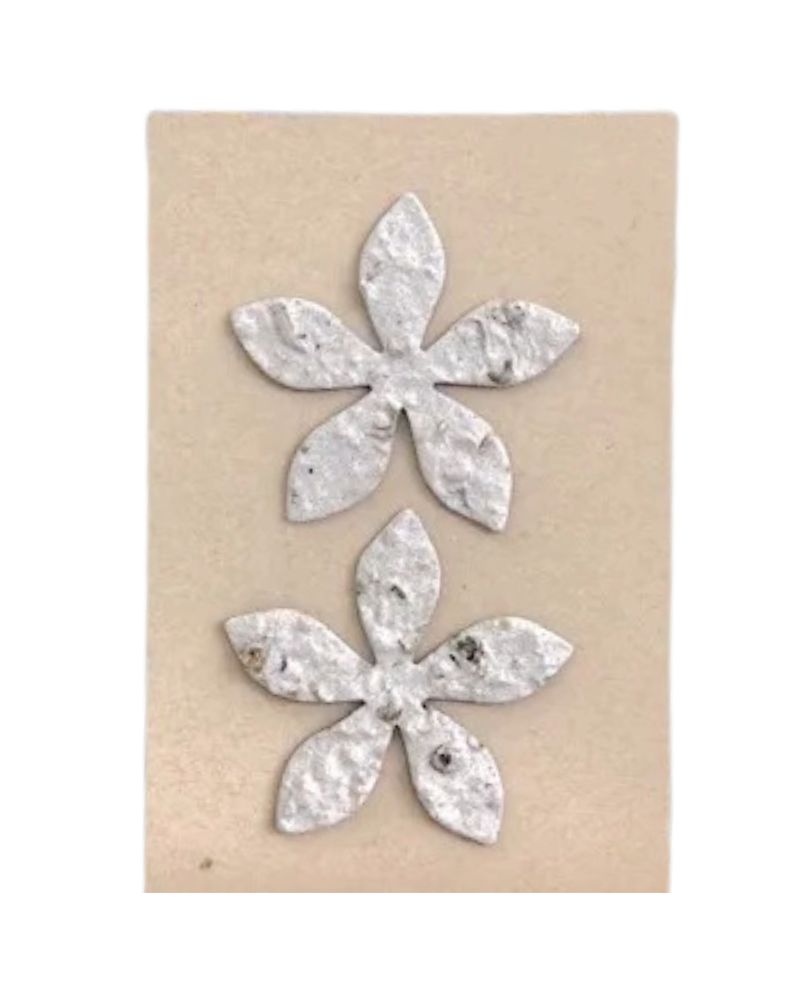 Flower Seed Greeting Card (Chicago, IL)