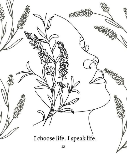 Argrow's House Relaxation Coloring Book